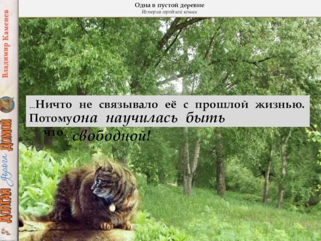 Одна в пустой деревне История городской кошки …Ничто не связывало её с