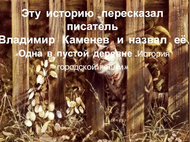 Эту историю пересказал писатель Владимир Каменев и назвал её «Одна в пустой деревне .История городской кошки»