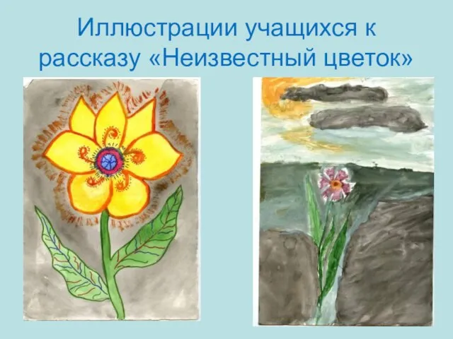 Иллюстрации учащихся к рассказу «Неизвестный цветок»