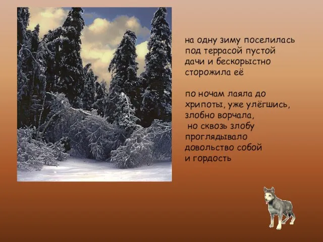 на одну зиму поселилась под террасой пустой дачи и бескорыстно сторожила её