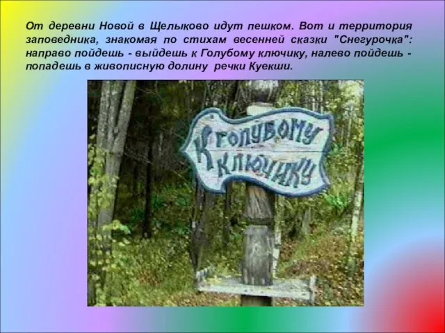 От деревни Новой в Щелыково идут пешком. Вот и территория заповедника, знакомая