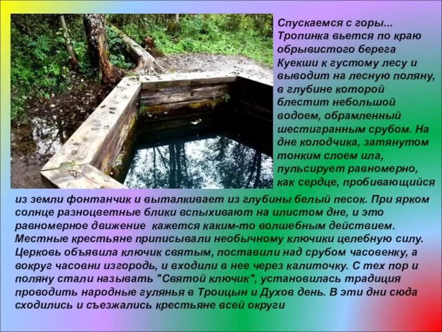 Спускаемся с горы... Тропинка вьется по краю обрывистого берега Куекши к густому