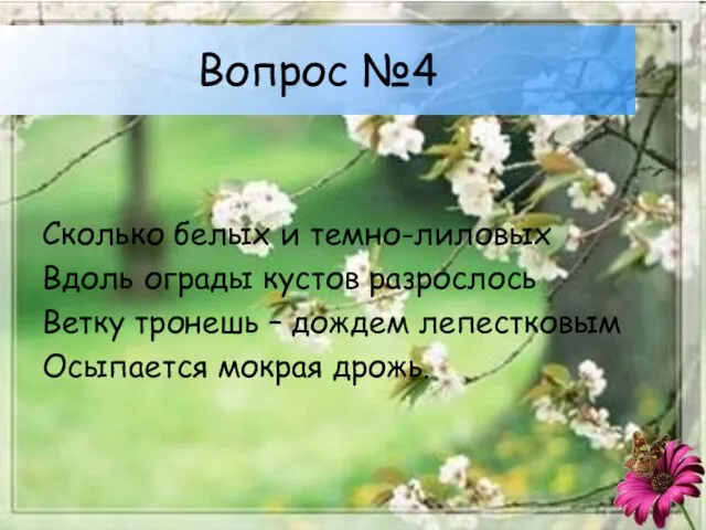 Вопрос №4 Сколько белых и темно-лиловых Вдоль ограды кустов разрослось Ветку тронешь