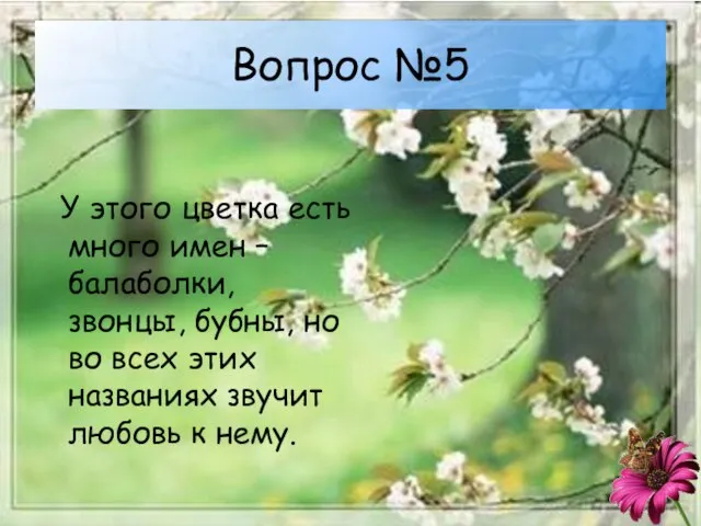 Вопрос №5 У этого цветка есть много имен – балаболки, звонцы, бубны,