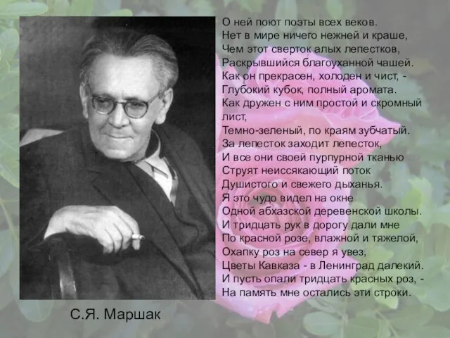 С.Я. Маршак О ней поют поэты всех веков. Нет в мире ничего