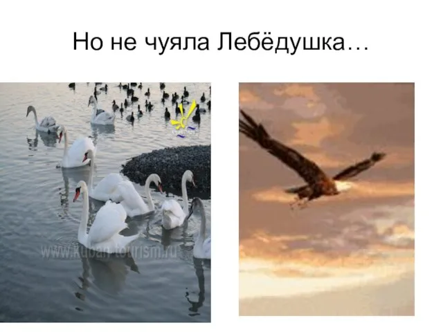 Но не чуяла Лебёдушка…