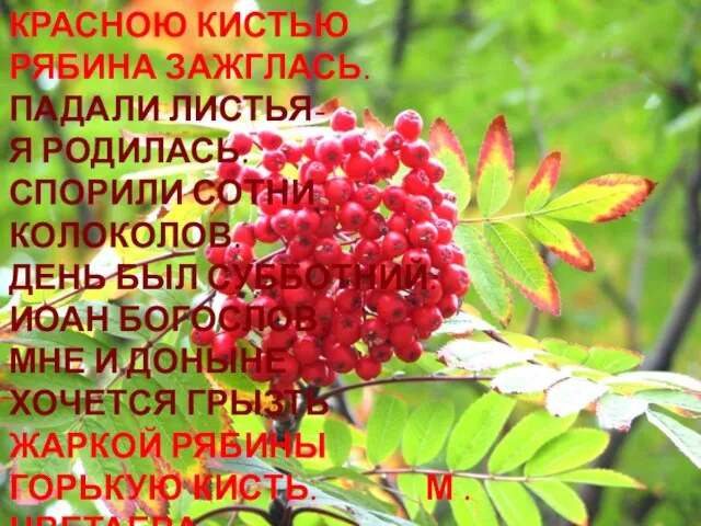 КРАСНОЮ КИСТЬЮ РЯБИНА ЗАЖГЛАСЬ. ПАДАЛИ ЛИСТЬЯ- Я РОДИЛАСЬ. СПОРИЛИ СОТНИ КОЛОКОЛОВ. ДЕНЬ