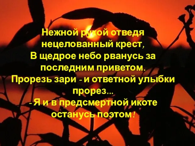 Нежной рукой отведя нецелованный крест, В щедрое небо рванусь за последним приветом.