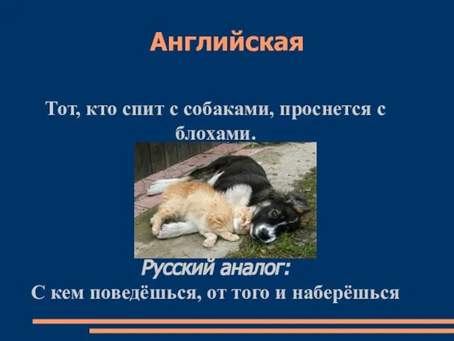 Английская Тот, кто спит с собаками, проснется с блохами. Русский аналог: С