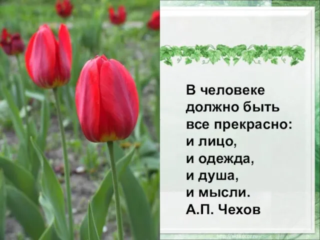 В человеке должно быть все прекрасно: и лицо, и одежда, и душа, и мысли. А.П. Чехов