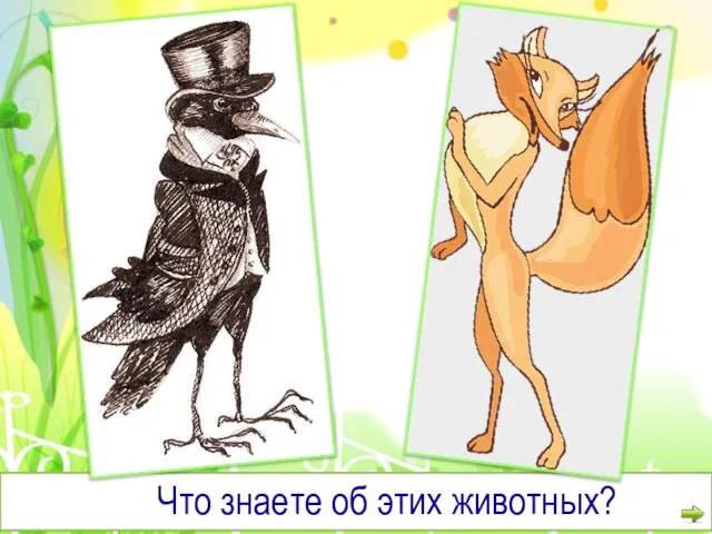 Что знаете об этих животных?