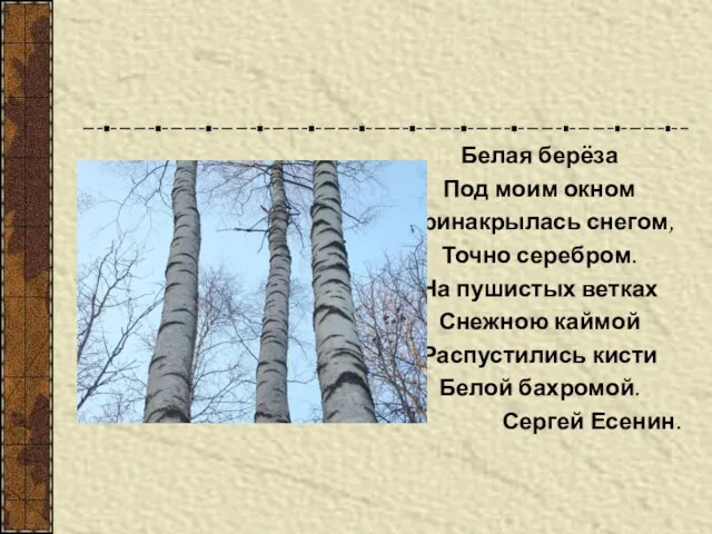 Белая берёза Под моим окном Принакрылась снегом, Точно серебром. На пушистых ветках