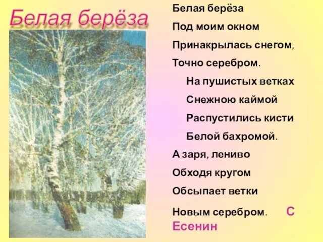 Белая берёза Под моим окном Принакрылась снегом, Точно серебром. На пушистых ветках