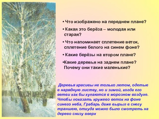 Что изображено на переднем плане? Какая это берёза – молодая или старая?