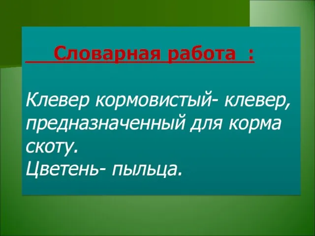 Словарная работа : Клевер кормовистый- клевер, предназначенный для корма скоту. Цветень- пыльца.