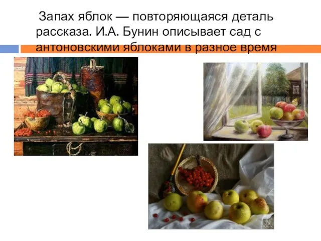 Запах яблок — повторяющаяся деталь рассказа. И.А. Бунин описывает сад с антоновскими