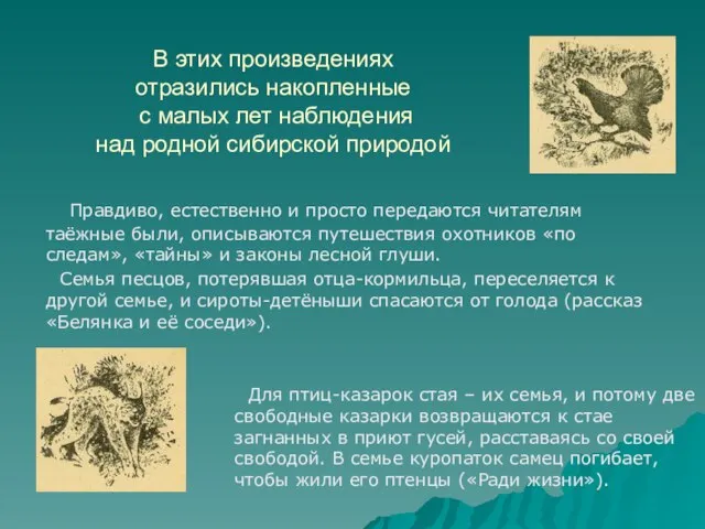 В этих произведениях отразились накопленные с малых лет наблюдения над родной сибирской