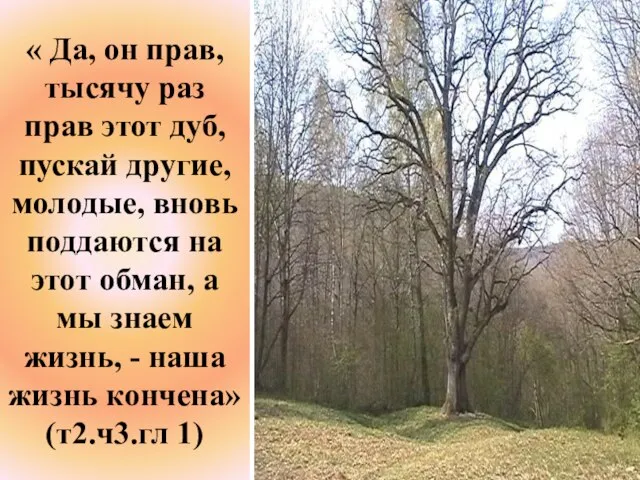 « Да, он прав, тысячу раз прав этот дуб, пускай другие, молодые,