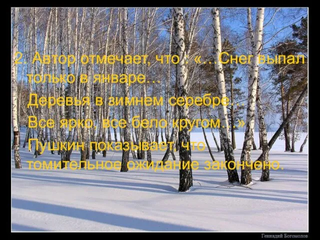 2. Автор отмечает, что : «…Снег выпал только в январе… Деревья в