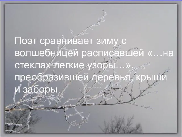 Поэт сравнивает зиму с волшебницей расписавшей «…на стеклах легкие узоры…», преобразившей деревья, крыши и заборы.