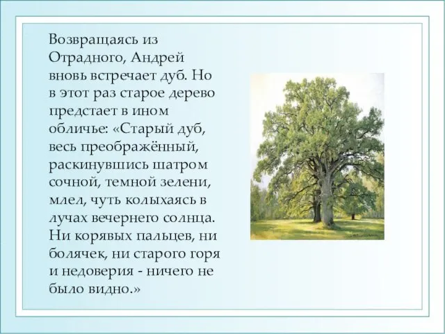 Возвращаясь из Отрадного, Андрей вновь встречает дуб. Но в этот раз старое