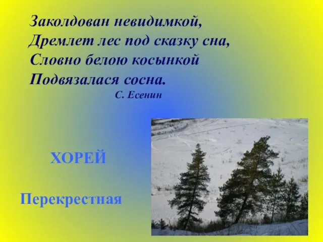 Заколдован невидимкой, Дремлет лес под сказку сна, Словно белою косынкой Подвязалася сосна. С. Есенин ХОРЕЙ Перекрестная