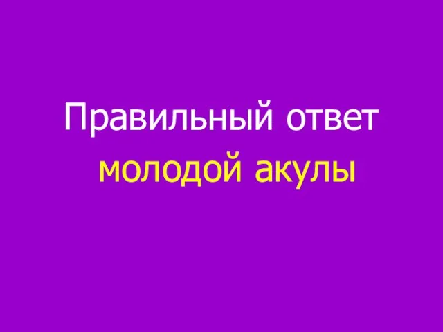 Правильный ответ молодой акулы