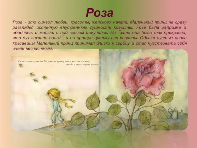 Роза Роза - это символ любви, красоты, женского начала. Маленький принц не