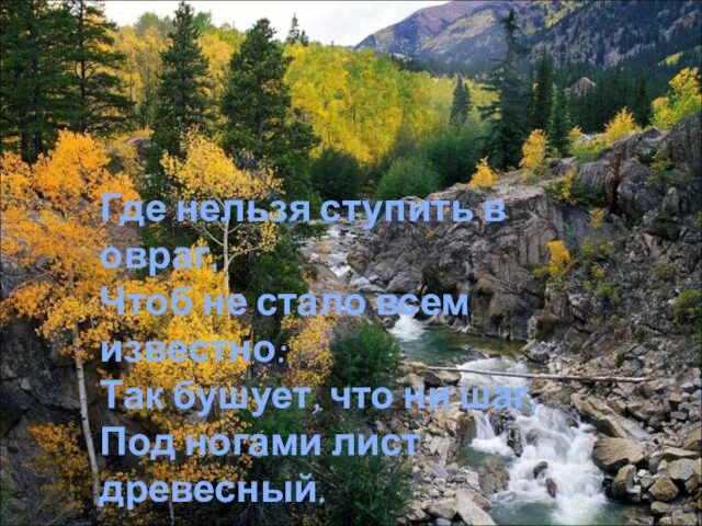 Где нельзя ступить в овраг, Чтоб не стало всем известно: Так бушует,