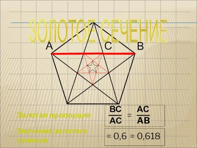 ЗОЛОТОЕ СЕЧЕНИЕ Золотая пропорция ВС АС AB АС = Значение золотого сечения