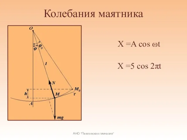 Колебания маятника X =A cos ωt АНО "Павловская гимназия" X =5 cos 2πt