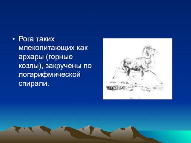 Рога таких млекопитающих как архары (горные козлы), закручены по логарифмической спирали.