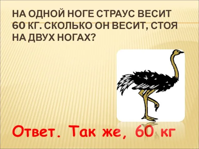 НА ОДНОЙ НОГЕ СТРАУС ВЕСИТ 60 КГ. СКОЛЬКО ОН ВЕСИТ, СТОЯ НА