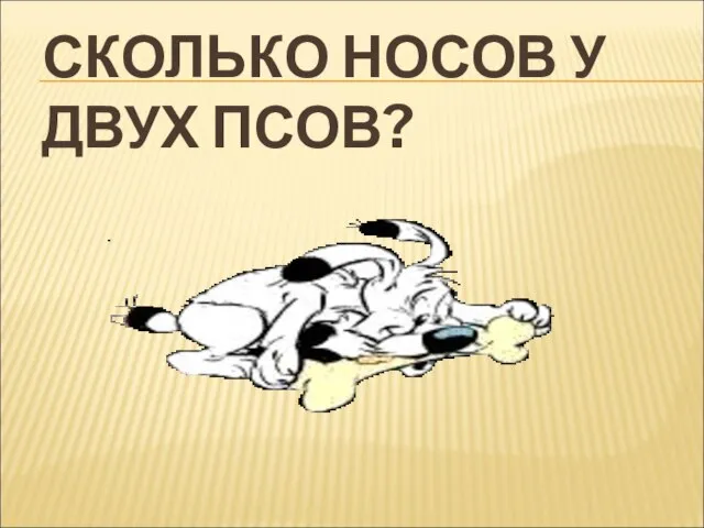 СКОЛЬКО НОСОВ У ДВУХ ПСОВ?