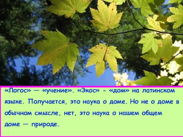 «Логос» — «учение». «Экос» - «дом» на латинском языке. Получается, это наука