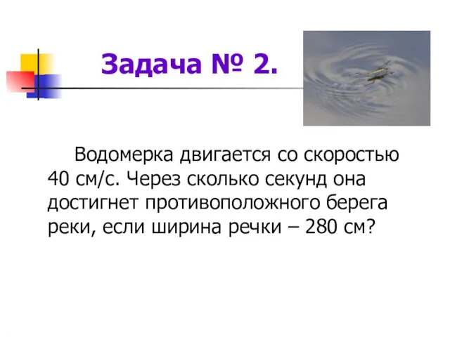 Задача № 2. Водомерка двигается со скоростью 40 см/с. Через сколько секунд