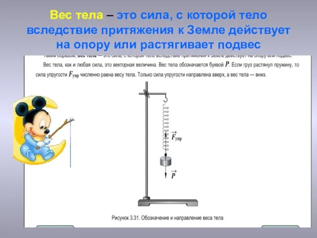 Вес тела – это сила, с которой тело вследствие притяжения к Земле