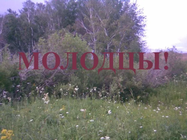 МОЛОДЦЫ!