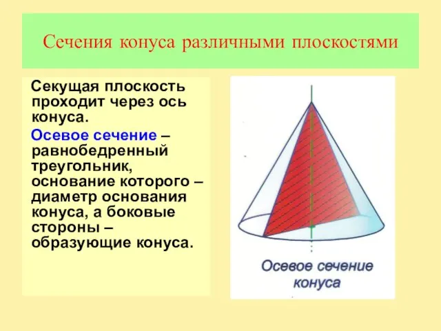 Сечения конуса различными плоскостями Секущая плоскость проходит через ось конуса. Осевое сечение