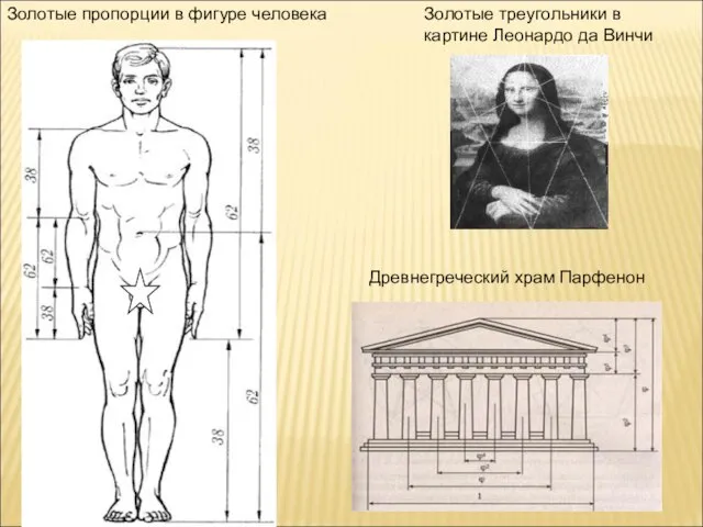 Золотые пропорции в фигуре человека Золотые треугольники в картине Леонардо да Винчи Древнегреческий храм Парфенон