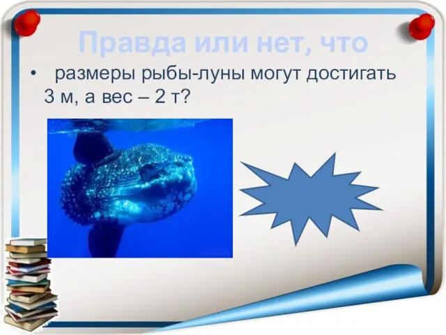 Правда или нет, что размеры рыбы-луны могут достигать 3 м, а вес – 2 т? правда