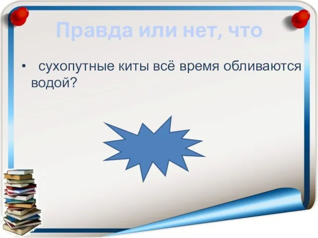 Правда или нет, что сухопутные киты всё время обливаются водой? неправда