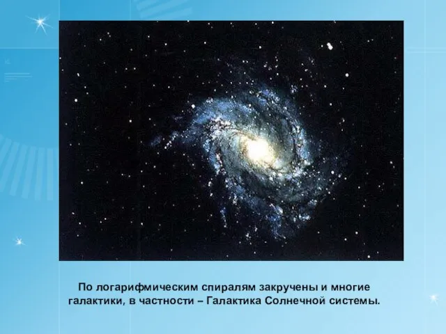 По логарифмическим спиралям закручены и многие галактики, в частности – Галактика Солнечной системы.