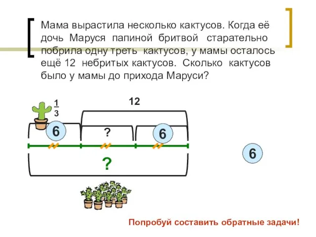 Мама вырастила несколько кактусов. Когда её дочь Маруся папиной бритвой старательно побрила