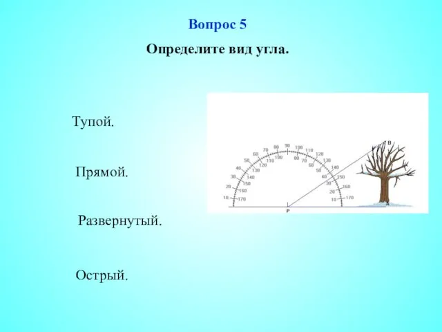 Острый. Прямой. Развернутый. Тупой. Вопрос 5 Определите вид угла.