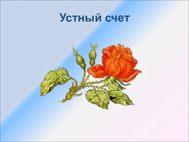 Устный счет