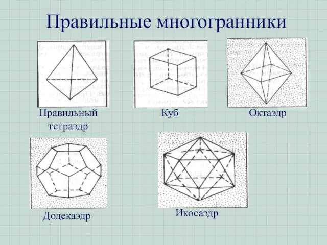 Правильные многогранники