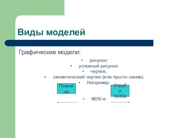 Виды моделей Графические модели: рисунок; условный рисунок; чертеж; схематический чертеж (или просто