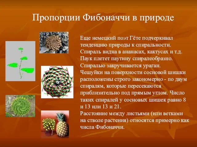 Еще немецкий поэт Гёте подчеркивал тенденцию природы к спиральности. Спираль видна в