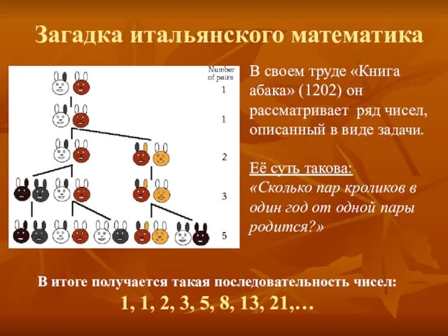 В своем труде «Книга абака» (1202) он рассматривает ряд чисел, описанный в